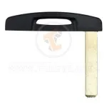 RENAULT SAFRANE CLIO MEGANE 2008 2012_23184_2